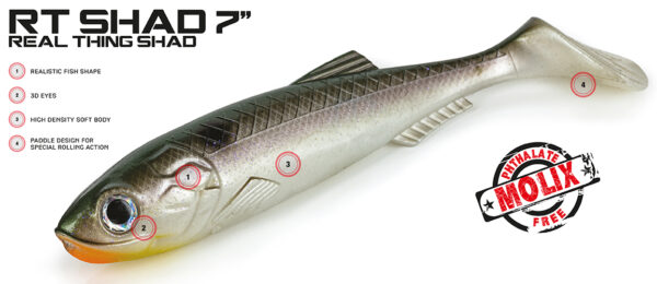RT-Shad-7