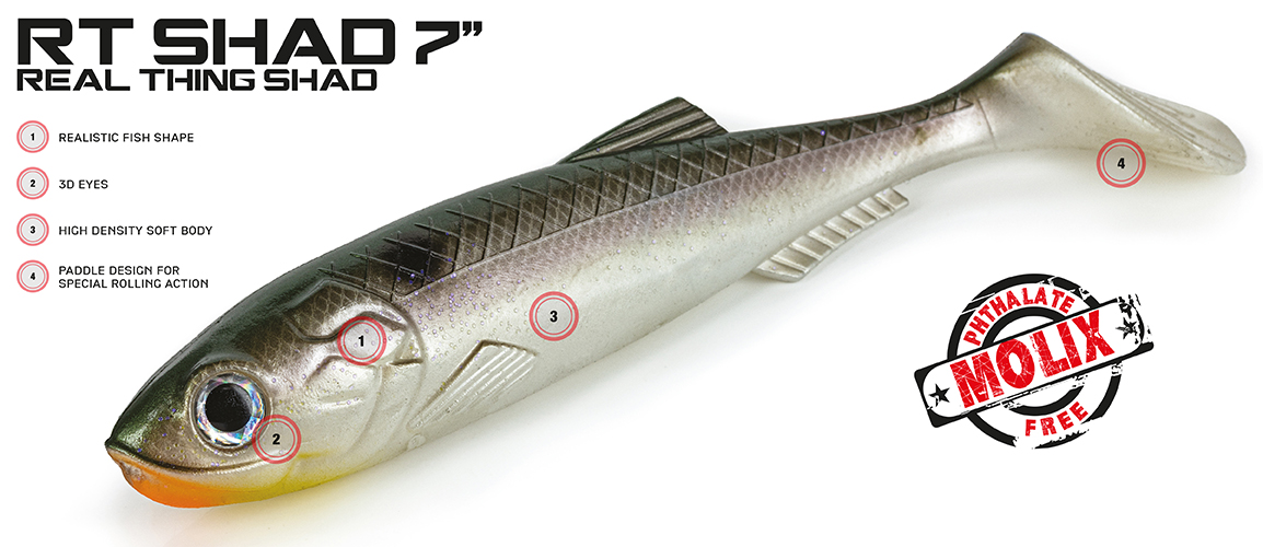 RT-Shad-7